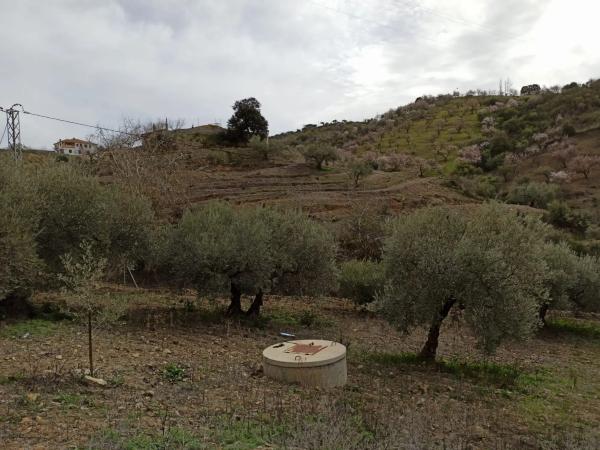 Terreno en carretera de Casabermeja s/n
