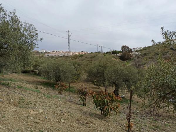 Terreno en carretera de Casabermeja s/n