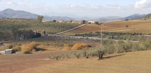 Terreno en calle Acera Nueva
