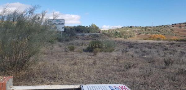 Terreno en calle Acera Nueva