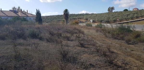 Terreno en calle Acera Nueva