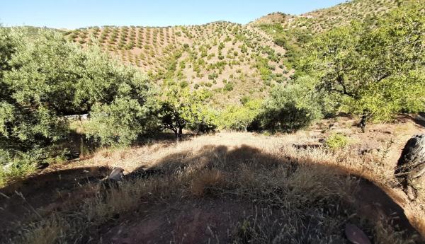 Terreno en Colmenar