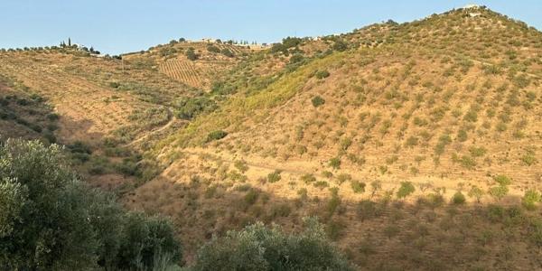 Terreno en calle los Verdiales