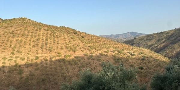 Terreno en calle los Verdiales