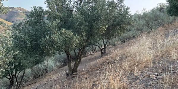 Terreno en calle los Verdiales