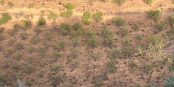 Terreno en calle los Verdiales