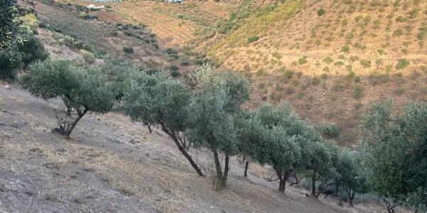 Terreno en calle los Verdiales