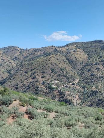 Terreno en arroyo solano s/n