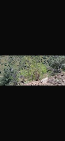 Terreno en Lomasierra s/n