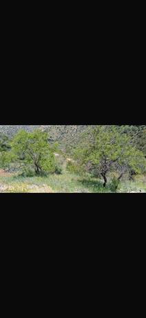 Terreno en Lomasierra s/n