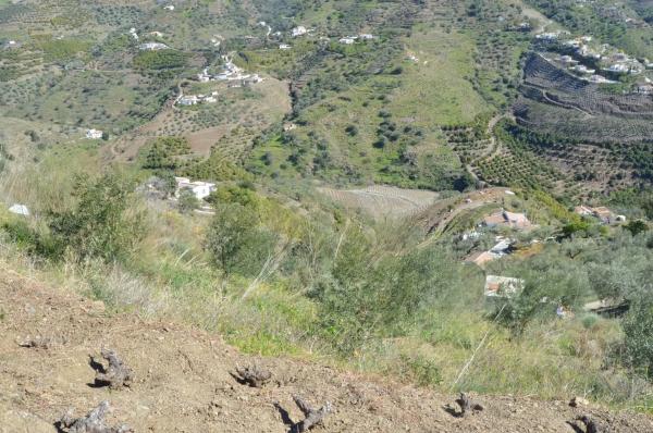 Terreno en Diseminado Esparraguera s/n