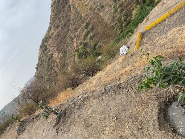 Terreno en carretera A-7207 s/n