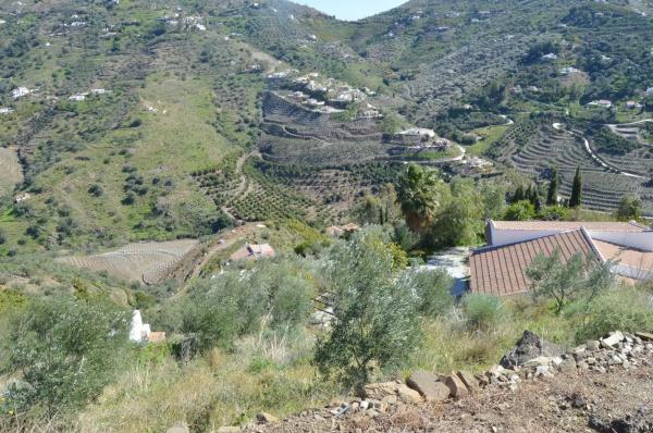 Terreno en Diseminado Esparraguera s/n