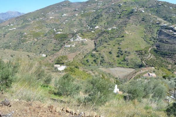 Terreno en Diseminado Esparraguera s/n