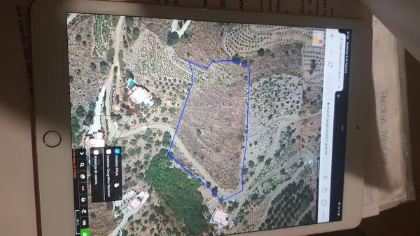 Terreno en Diseminado Esparraguera s/n