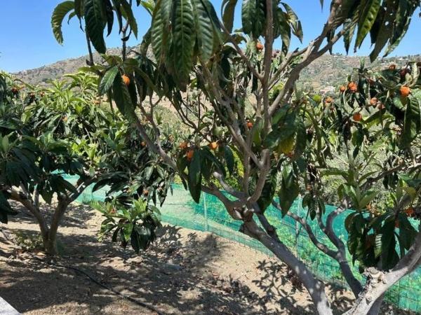 Terreno en Diseminado Diseminados