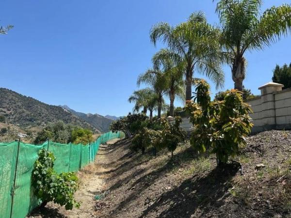 Terreno en Diseminado Diseminados