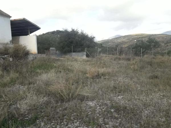 Terreno en calle Medico, 4