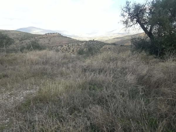 Terreno en calle Medico, 4