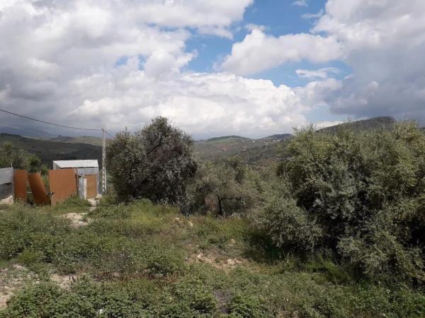 Terreno en calle Medico, 4