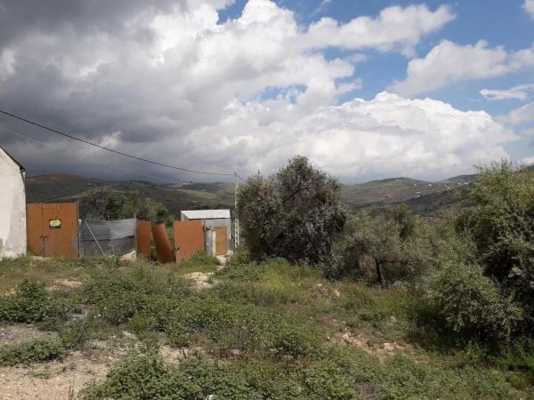 Terreno en calle Medico, 4