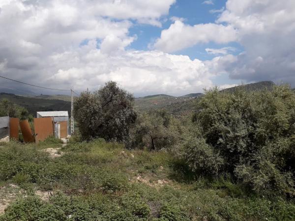 Terreno en Diseminado Diseminados, 16