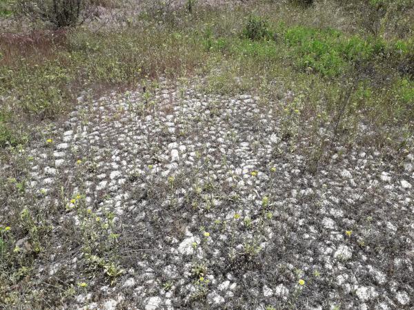 Terreno en Diseminado Diseminados, 16