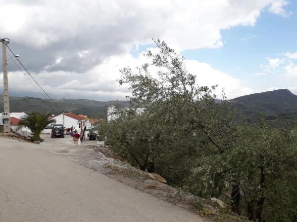 Terreno en Diseminado Diseminados, 16