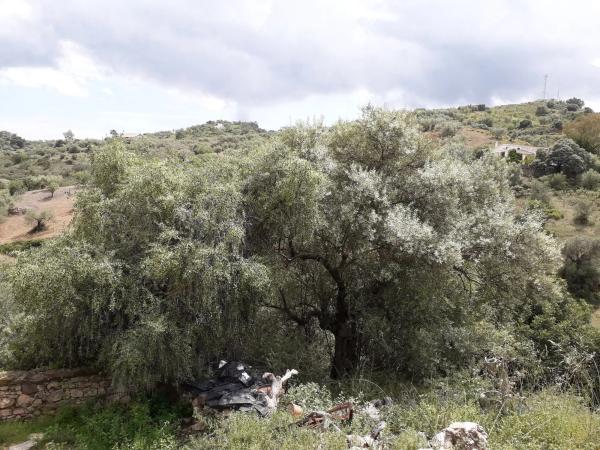 Terreno en Diseminado Diseminados, 16