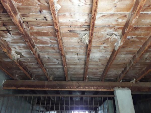 Terreno en Diseminado Diseminados, 16