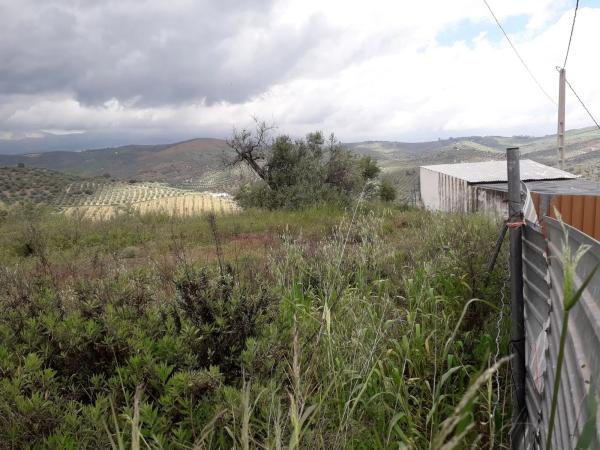 Terreno en Diseminado Diseminados, 16