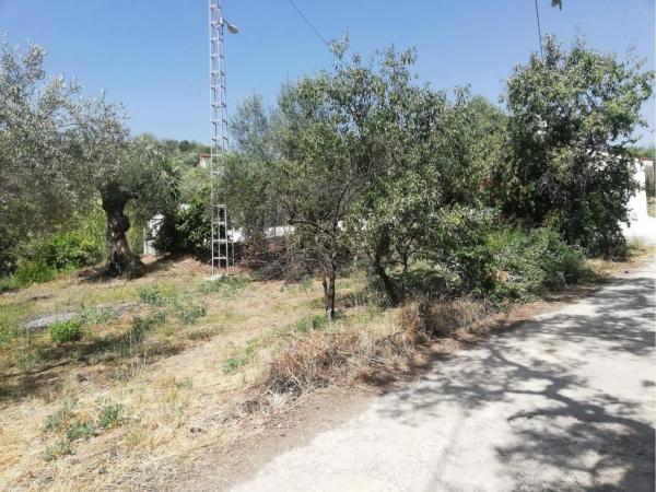 Terreno en Cutar