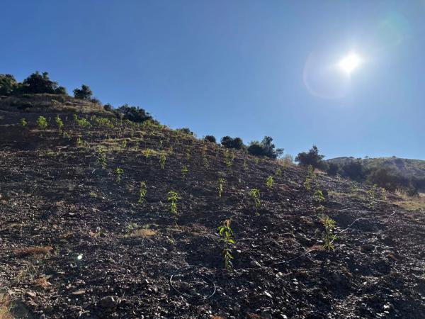 Terreno en carril de la Charata, km 1