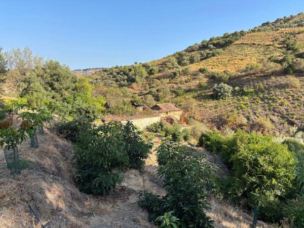 Terreno en carril de la Charata, km 1