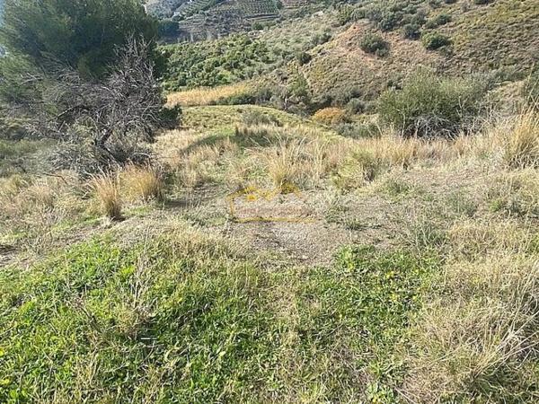 Terreno en Frigiliana