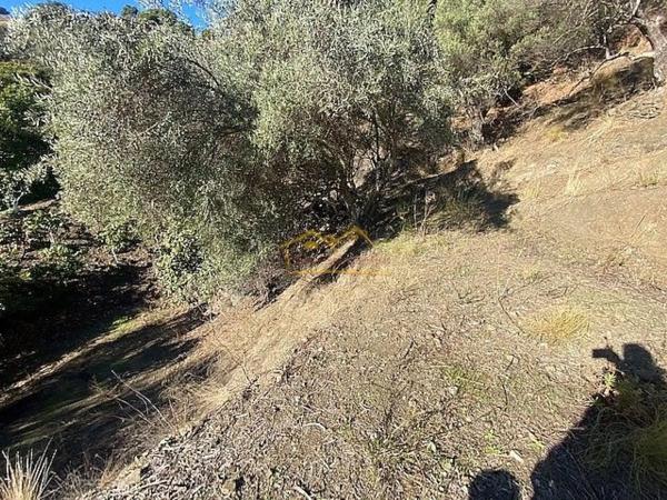 Terreno en Frigiliana