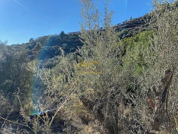 Terreno en Frigiliana