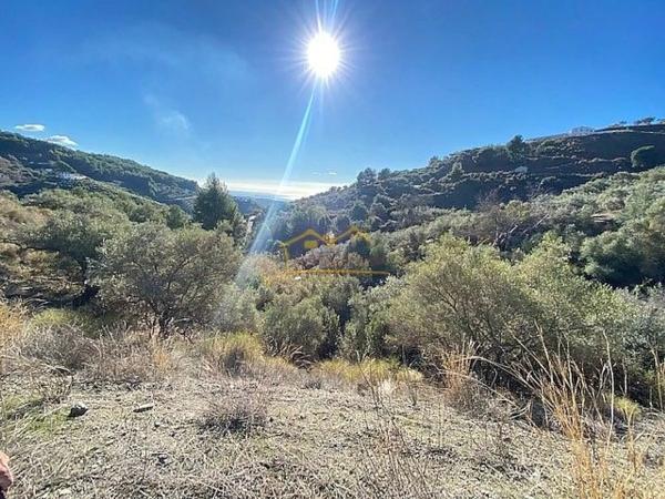 Terreno en Frigiliana