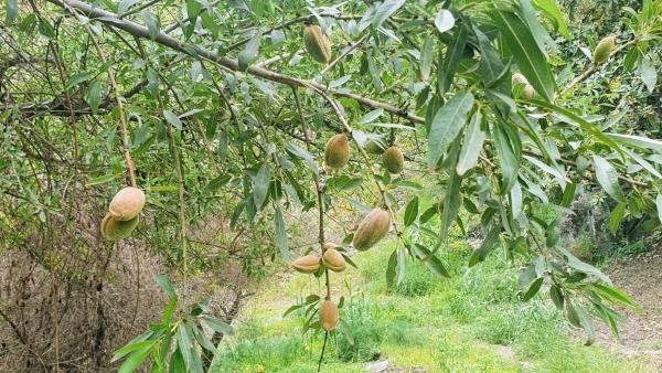 Terreno en Diseminado Diseminados