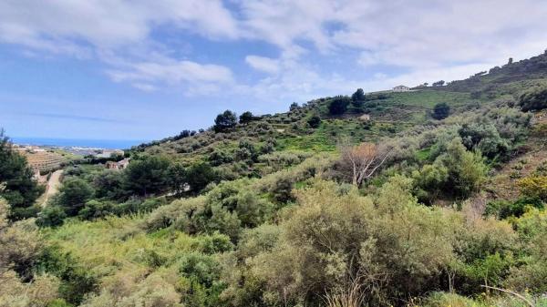 Terreno en Diseminado Diseminados