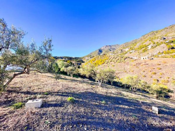 Terreno en Frigiliana