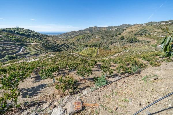 Terreno en camino de la Cruz