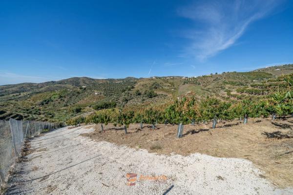 Terreno en camino de la Cruz