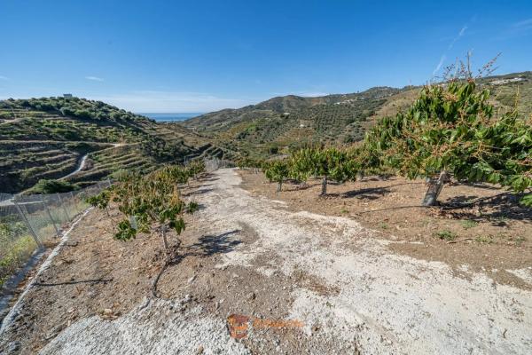 Terreno en camino de la Cruz