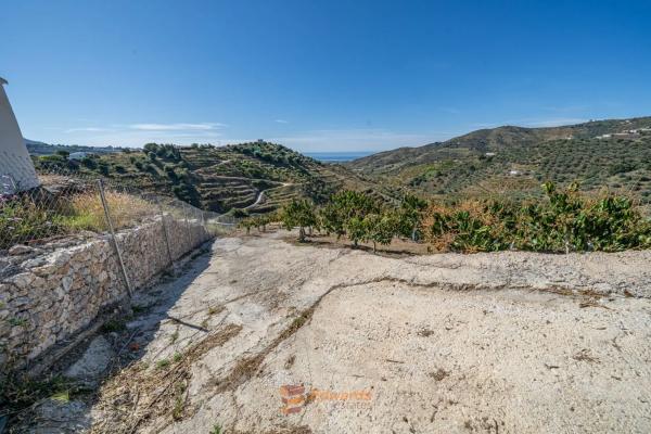 Terreno en camino de la Cruz