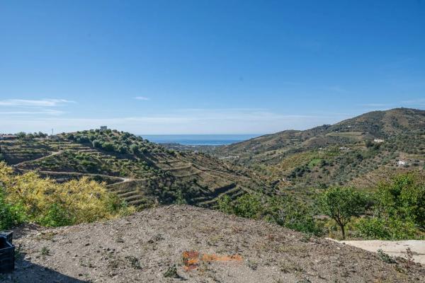Terreno en camino de la Cruz