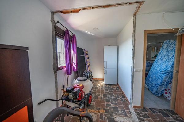 Terreno en camino de la Cruz