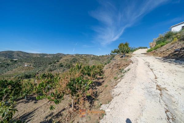Terreno en camino de la Cruz