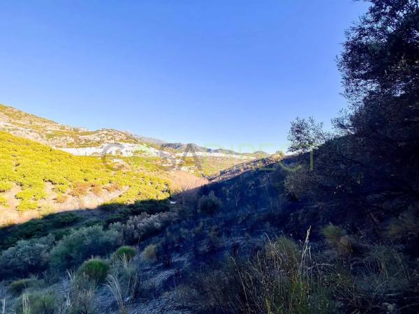 Terreno en Frigiliana