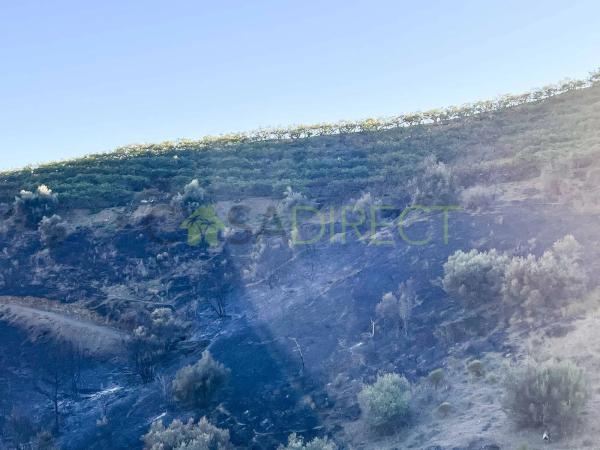 Terreno en Frigiliana